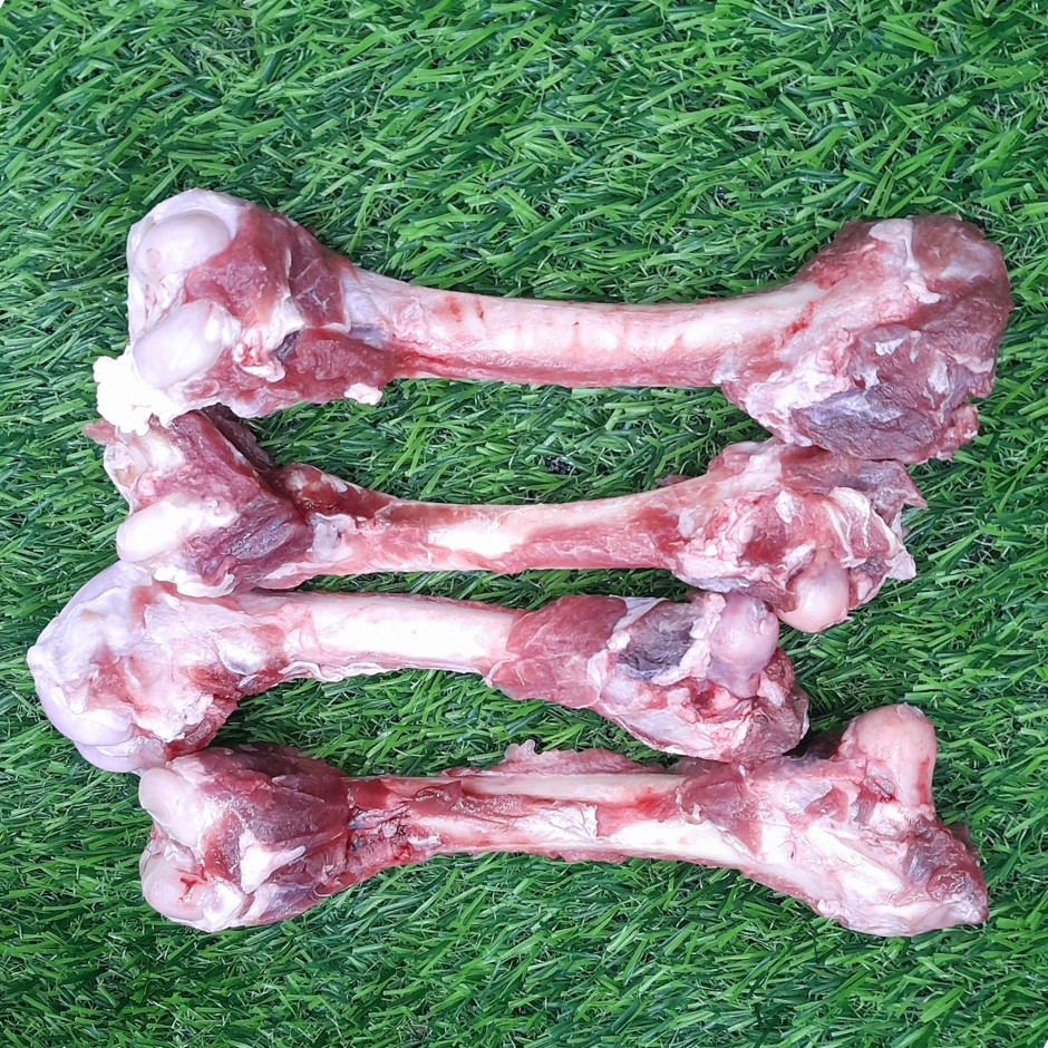 Carniraw Raw Meaty Bones (Springbok x 4)