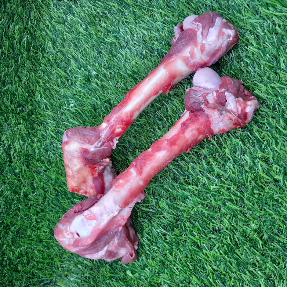 Take 2 Meaty Venison Bones